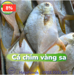 Cá chim vàng sa - Thực Phẩm Halo - Công Ty TNHH Halo Foods Việt Nam